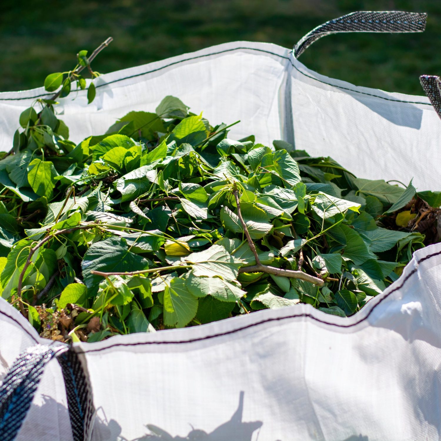 Large white rental bag with organic green garden waste. Local councils collecting green waste to process it into green energy and compost.